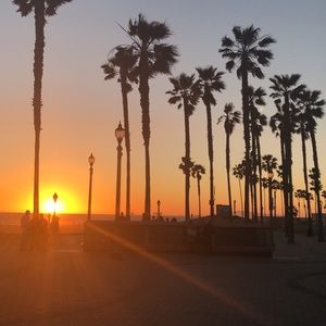 Meet your Posher, Sophia